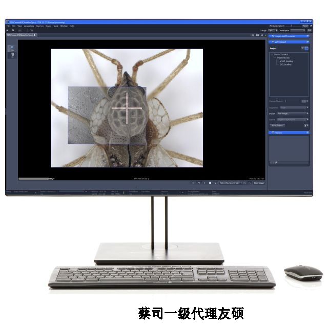 ˾ɨ羵