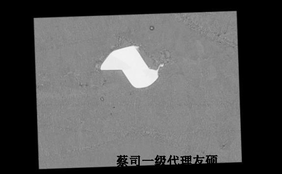 ��˾ɨ��羵ͼƬ