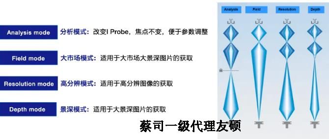 蔡司钨灯丝扫描电镜