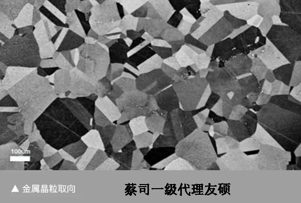 钨灯丝扫描电镜EVO