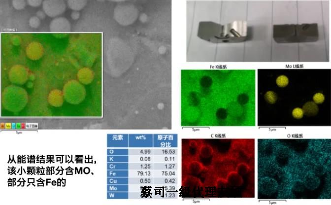 蔡司钨灯丝扫描电镜