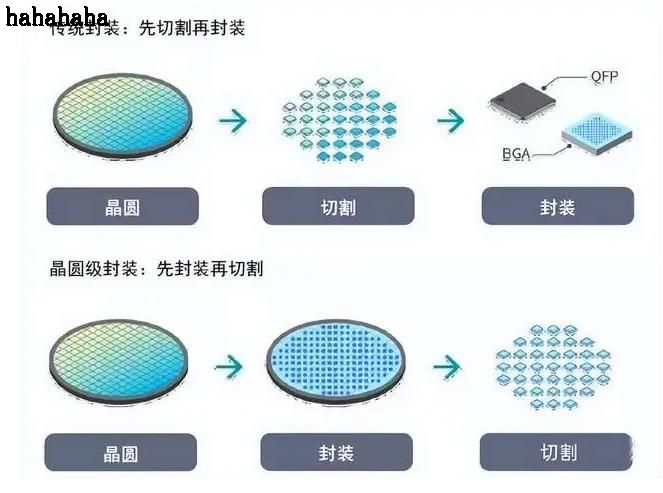 ˾ɨ羵